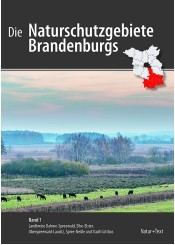 Die Naturschutzgebiete Brandenburgs: Foto mit Blick auf das Naturschutzgebiet Borcheltsbusch und Brandkieten: Wiesen, Felder, Bäume, Rinder