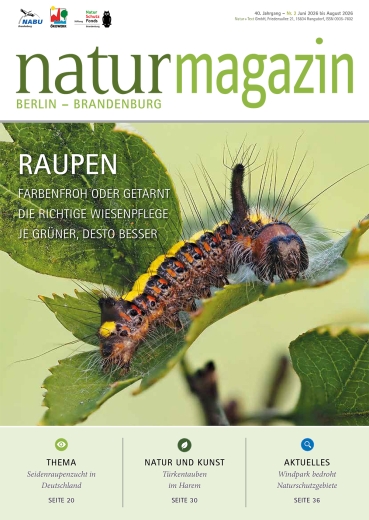 Jahresabonnement bestellen