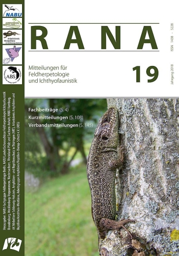 RANA 19