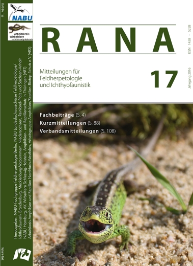 RANA 17