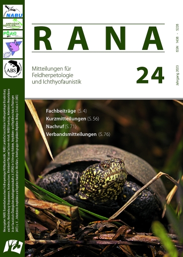 RANA 24