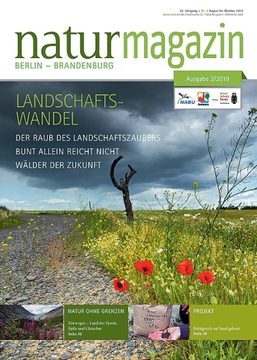 Landschaftswandel (2019 Heft 3)
