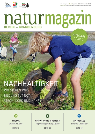 Nachhaltigkeit (2020 Heft 3)