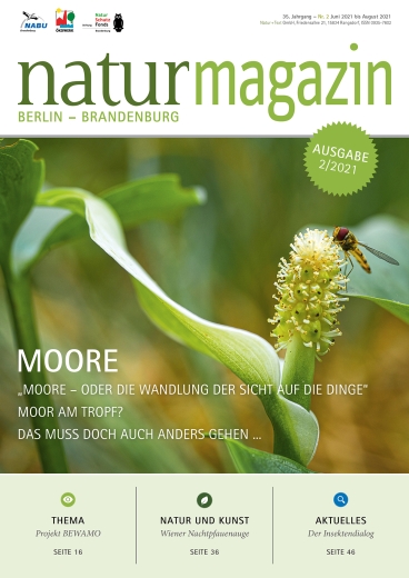 Moore (2021 Heft 2)