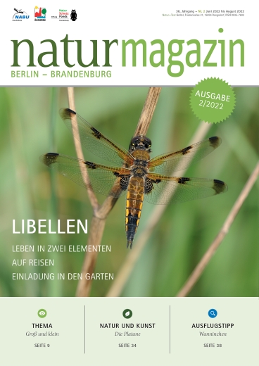 Libellen (2022 Heft 2)