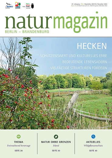 Hecken (2023 Heft 3)
