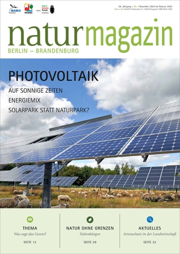 Photovoltaik (2024 Heft 4)