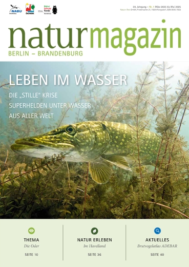 Leben im Wasser (2025 Heft 1)