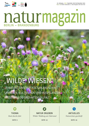 "Wilde Wiesen" (2025 Heft 3)