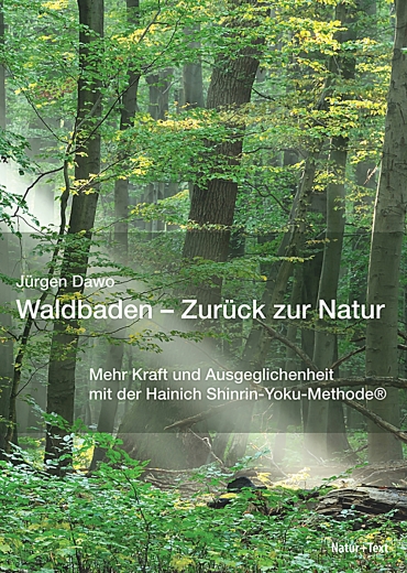 Waldbaden – Zurück zur Natur: Bäume im Wald, die von Sonnenstrahlen erleuchtet werden