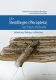 Die Steinfliegen (Plecoptera) Sachsen-Anhalts: Ein Weibchen von Perlodes dispar hält sich an einem Stück Holz fest