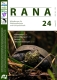 RANA 24