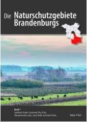 Die Naturschutzgebiete Brandenburgs: Foto mit Blick auf das Naturschutzgebiet Borcheltsbusch und Brandkieten: Wiesen, Felder, Bäume, Rinder