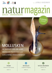 Mollusken (2020 Heft 2)