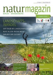 Landschaftswandel (2019 Heft 3)
