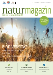 Biodiversität (2020 Heft 4)