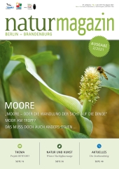 Moore (2021 Heft 2)