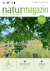 Streuobstwiesen