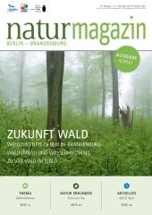 Zukunft Wald