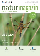 Libellen (2022 Heft 2)