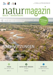 Nachnutzungen (2022 Heft 4)