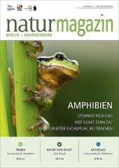 Amphibien (2024 Heft 1)