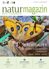 Nachtfalter (2025 Heft 2)