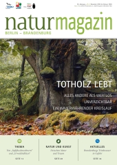 Totholz lebt (2025 Heft 4)