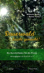 Dauerwald – Leicht gemacht (2. Auflage):Sonnenstrahlen fallen in einen dunklen Mischwald